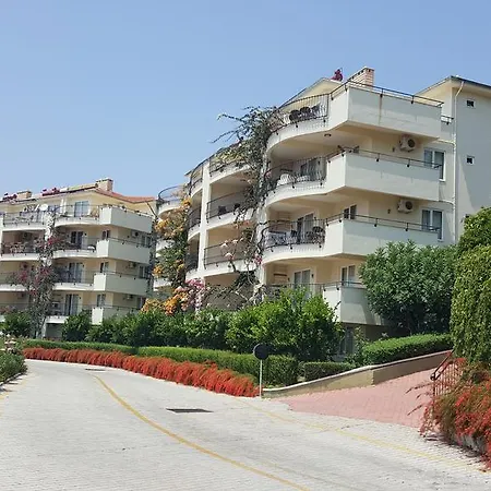 Gold City And * Kargıcak