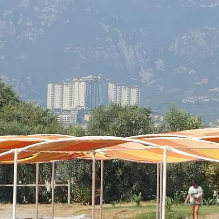 Gold City And Kargıcak