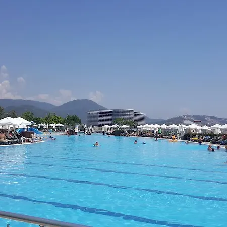 Gold City And * Kargıcak