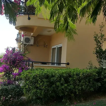 Apartment Gold City And