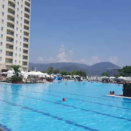 Gold City And Kargıcak