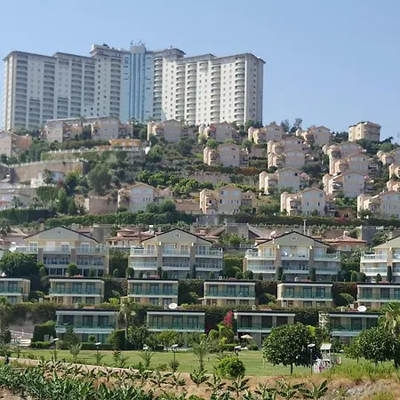 Gold City And *