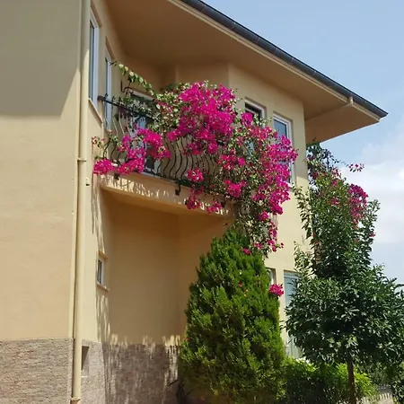 Apartment Gold City And *